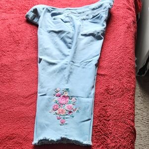 The Pioneer Woman Light Blue Cropped Jeans with Floral Embroidery